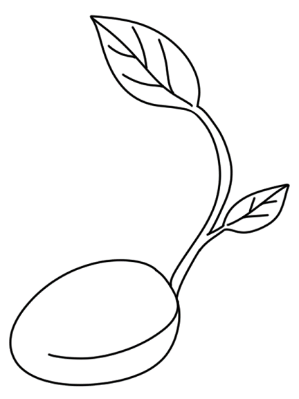 coloring page of a seed sprouting into a plant