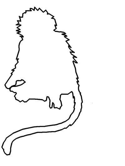 monkey coloring page