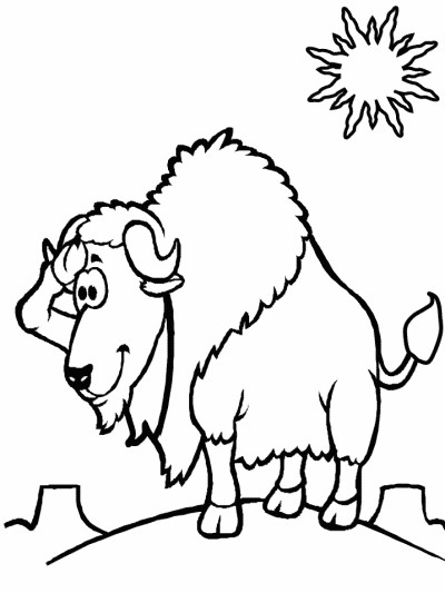 bison coloring page