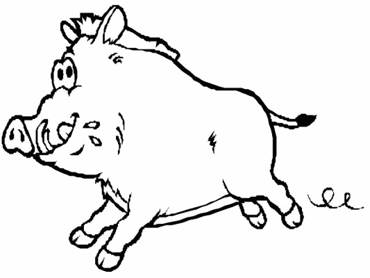 pig coloring page