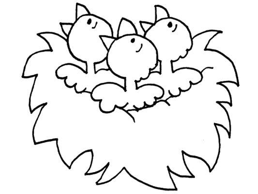 bird nest coloring page