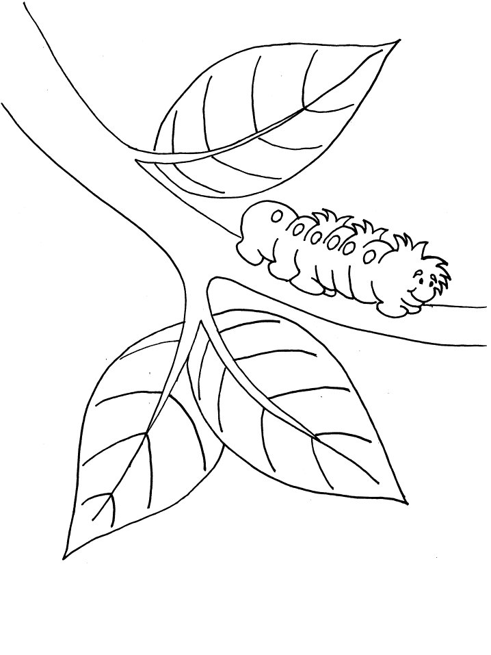 Caterpillar on a branch coloring page