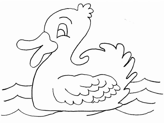 duck coloring page
