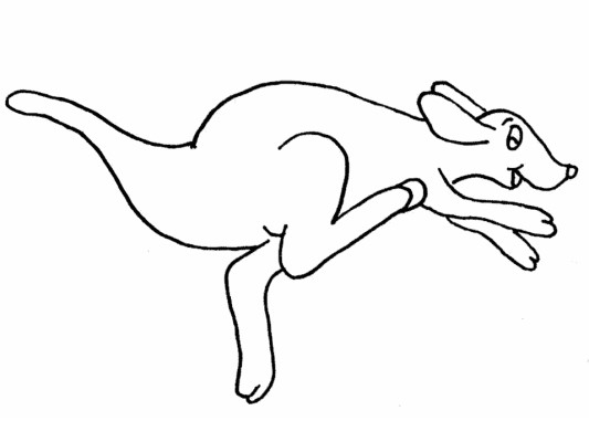 kangaroo coloring pages