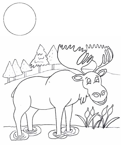 moose coloring page