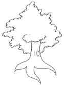 yggdrasil coloring pages