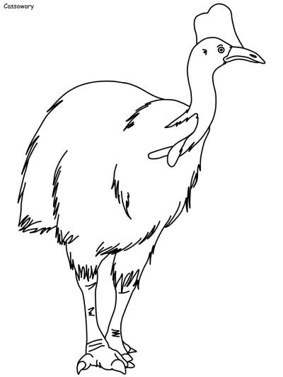 Cassowary coloring page