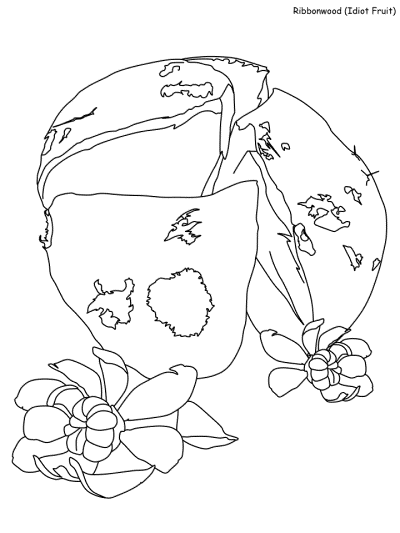 Idiot Fruit coloring page