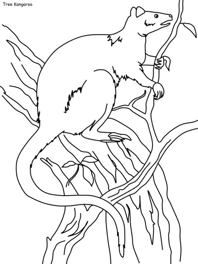 Tree Kangaroo coloring page