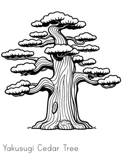 Yakusugi Cedar Tree coloring page