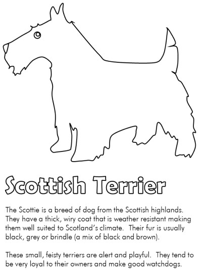 scottish terrier coloring pages