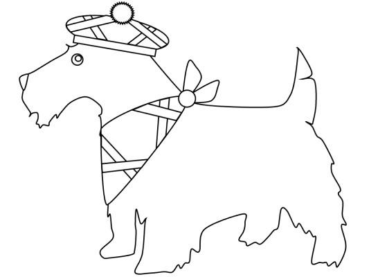 scottish terrier coloring pages