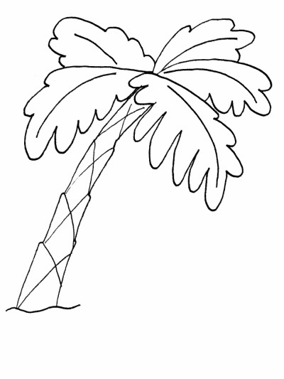 palm tree coloring page